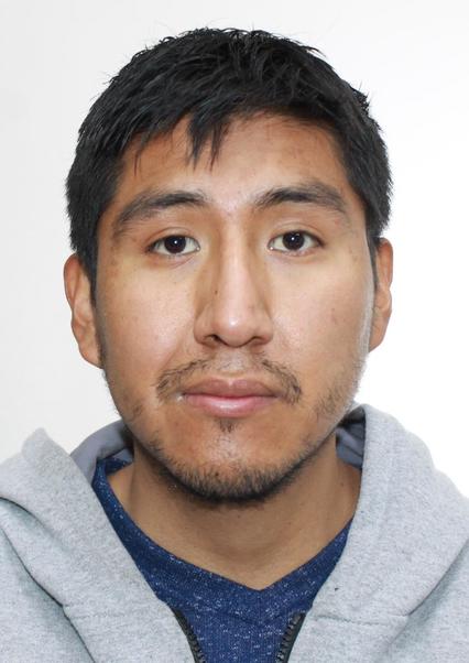 FRANCISCO ERNESTO ARCE ALCOCER