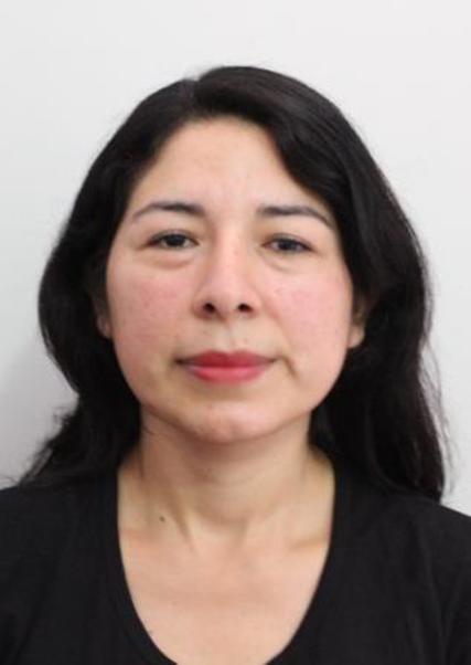 VANESA NELLY COPA GUTIERREZ