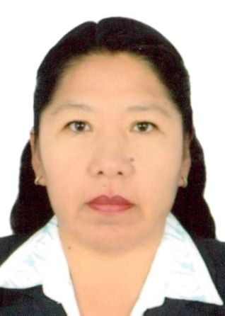 HAYDEE ELIZABETH ARAPA CONDORI