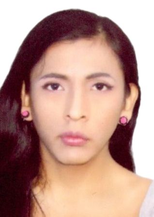 GUILLERMO JUNIOR CARI CONTRERAS