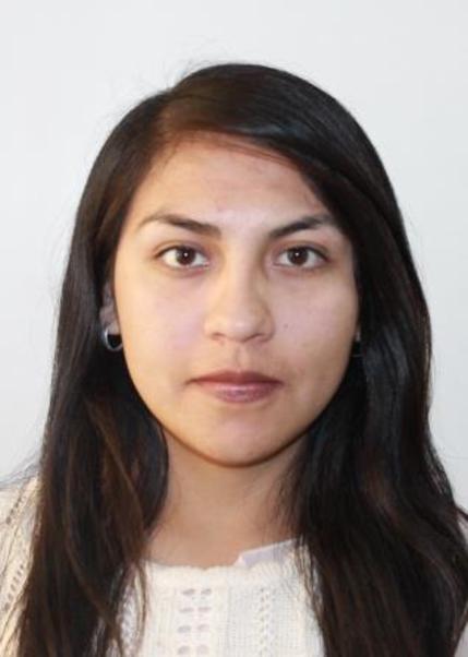 KELY ANALI IDROGO ESTELA