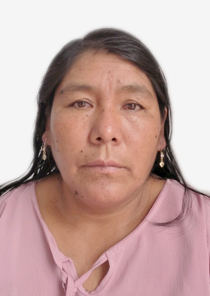 GLADYS JULIA PARI QUISPE