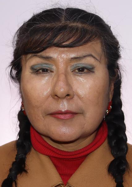 ELENA MARIA TICONA CARDENAS