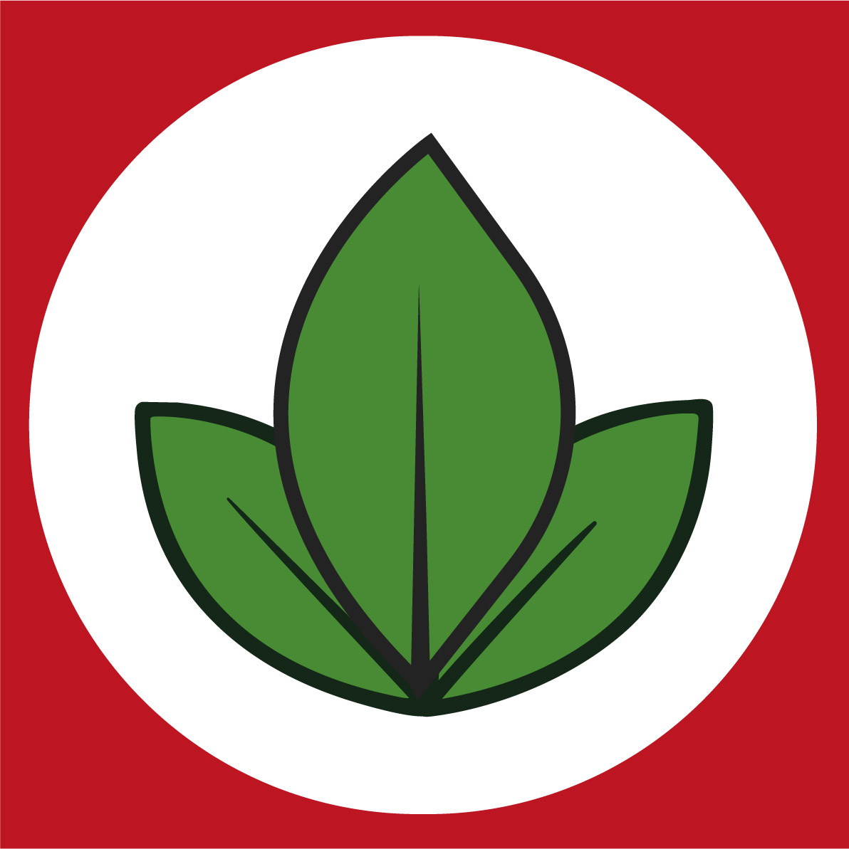 ALIANZA ELECTORAL VENCEREMOS