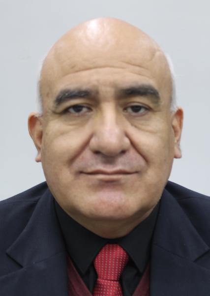 MIGUEL ANGEL VALLEJOS FLORES