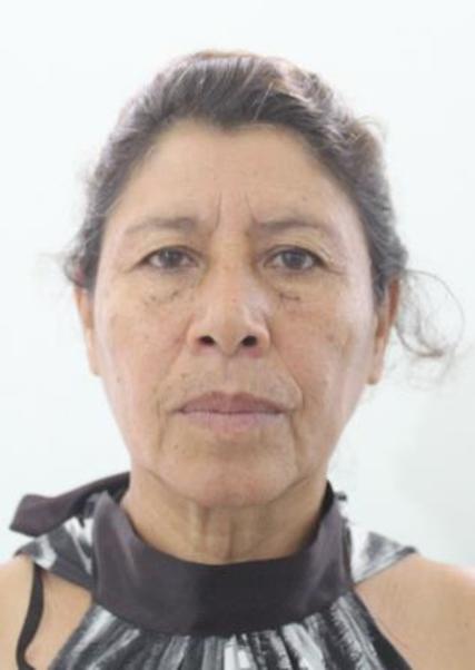 MARIA PERPETUA VILLALOBOS DAVILA