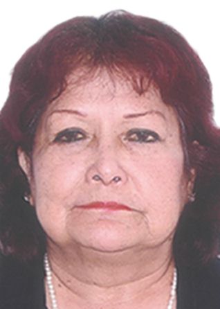 ENDES SARA CHERO MALDONADO