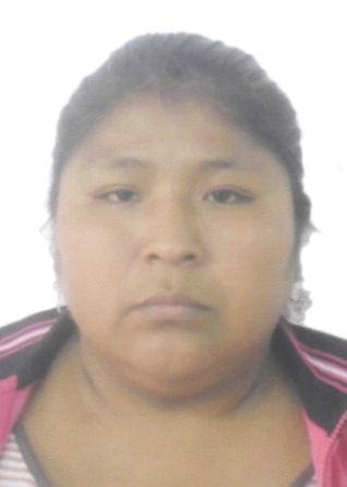 SANDRA CARMEN CAPCHA YANQUE