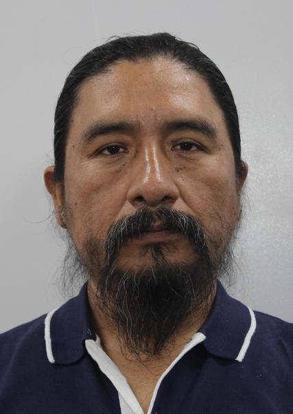 DAVID CONSTANTINO GONZALES HUACHAYANQUI