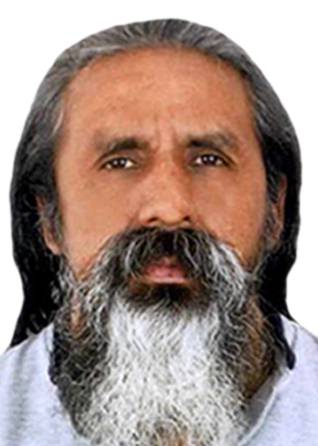 LUIS PINEDA MAURICIO