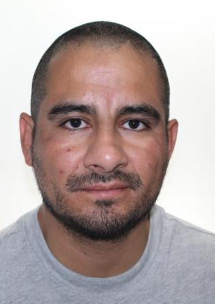 LUIS ARTURO ALEGRIA GARCIA