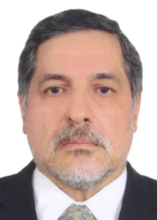 CARLOS ERNESTO BUSTAMANTE DONAYRE