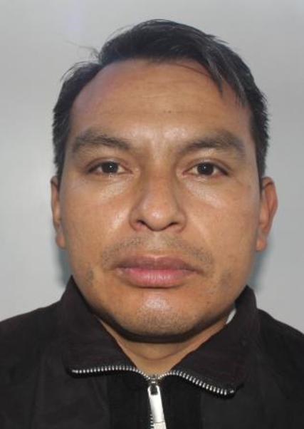 HERNAN PALOMINO PILLACA