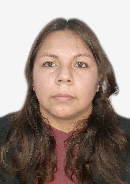 IRMA CASTILLO TERRONES