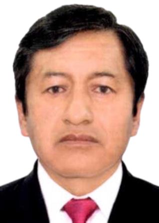 REMIGIO CONDORI FLORES