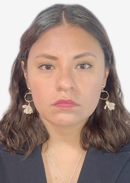 SVIETA VALIA FERNANDEZ GONZALEZ