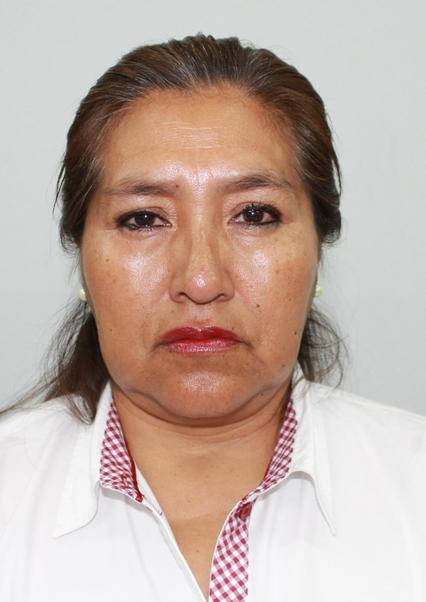 AMALIA EMILIA PALOMINO PACHECO