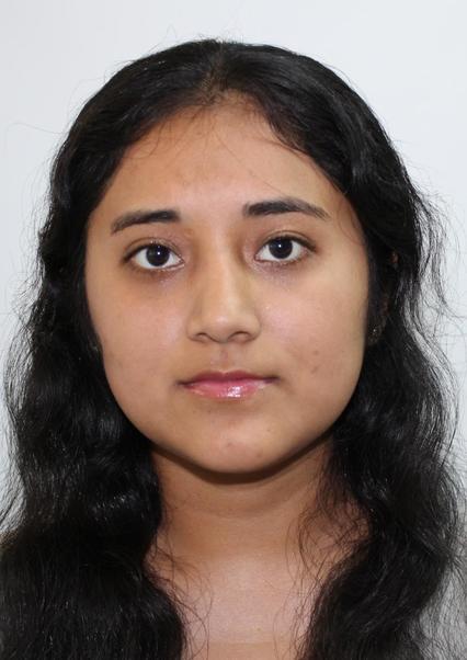 SENDY LUZ SULLCA CARDENAS