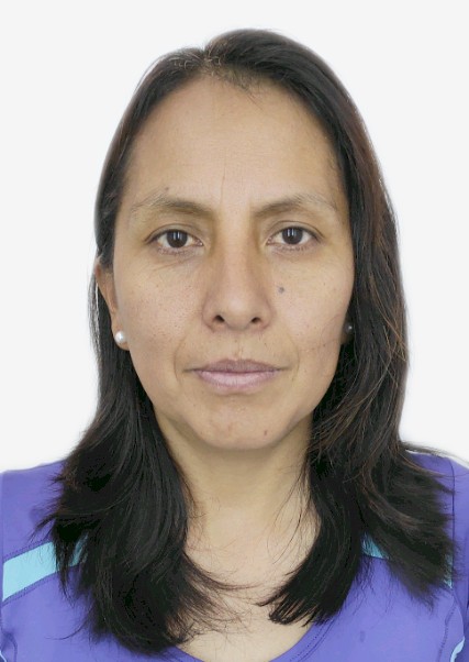 CARMEN LAURA VILLAVERDE HILARIO