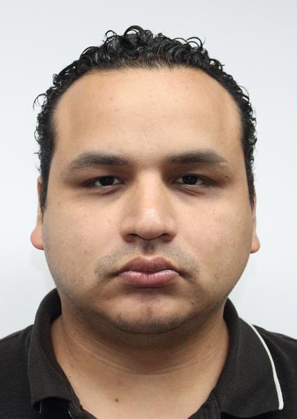 NESTOR JOAQUIN BRUCKMANN NAPURI