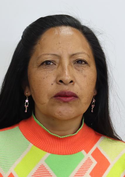 ISABEL ROXANA PARISACA CHAVEZ
