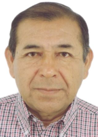 LUIS RAUL CASTILLO TIMANA