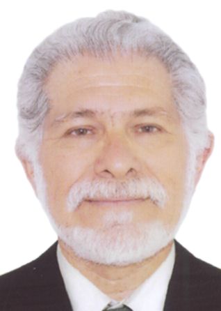 CARLOS MAXIMO CHAMOCHUMBI BARRUETO