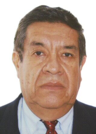 MARIO RICARDO VERA NOVOA