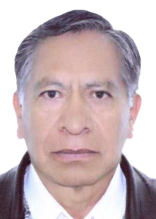 GERMAN CERQUIN LUICHO