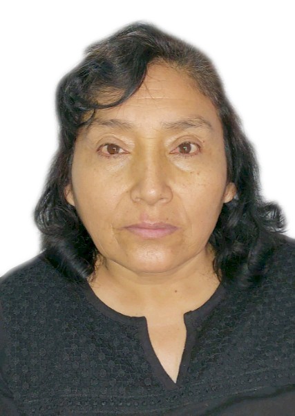 GLADYS JULIA GONZALES ARCE