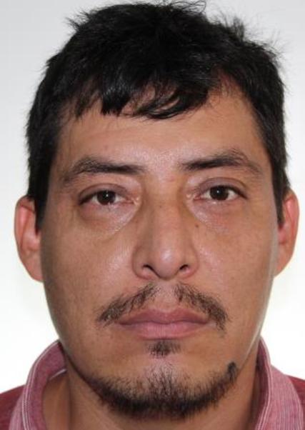 EMERSON OJEDA MOSQUEIRA