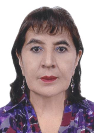 SOCORRO VIRGINIA GAMARRA ARIAS