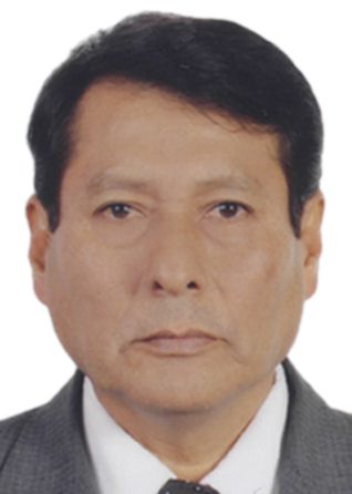 PERCY ALEJANDRO GUZMAN CALDERON