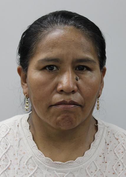 DOMETILA CUTIPA COPA