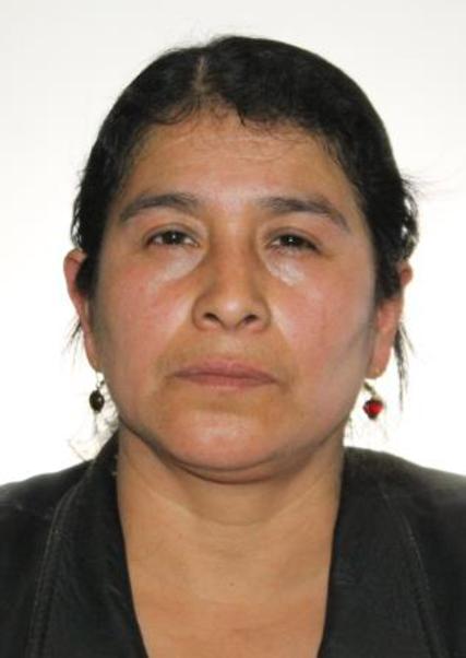 AYDE MARGARITA MOLINA VERGARA