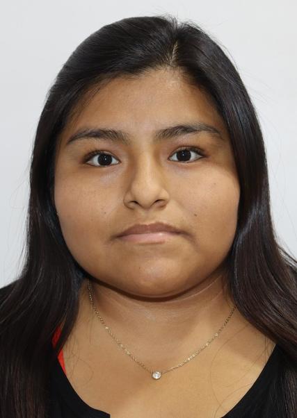 FIORELLA DINA VIZCARRA TIPO