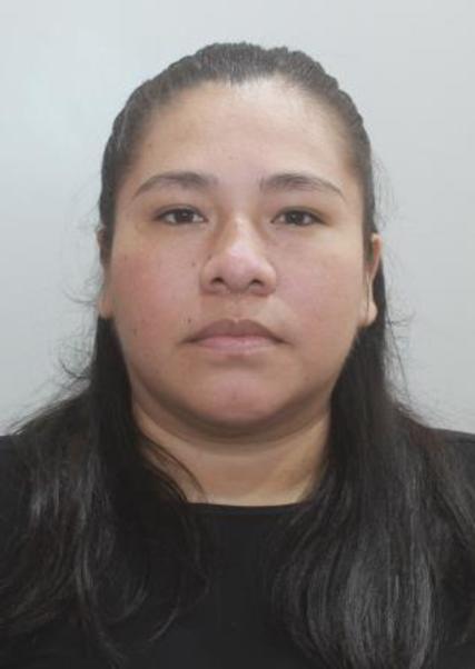 GIOVANA CASTRO TOLEDO