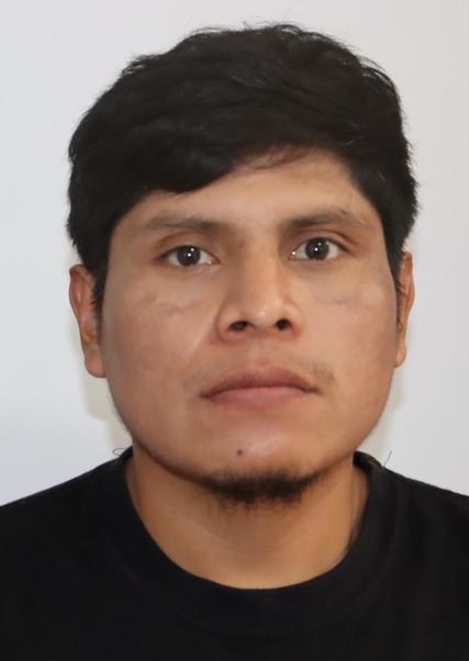 ALCIDES ALEX CONDORI GAVILAN