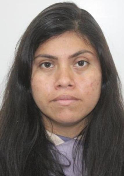 GABY HERRERA PINTADO