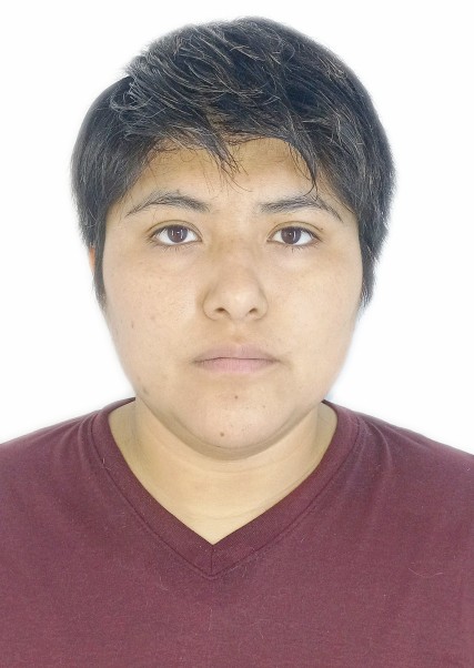 GIANELLA ARACELI PILLCO BALDEÓN