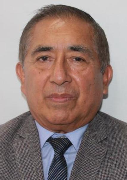 MARIO FRANCISCO BONIFAZ HERNANDEZ