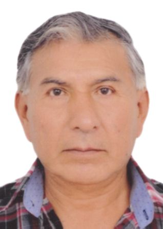 JOSE LUIS PEDRO FERNANDEZ CASTILLO