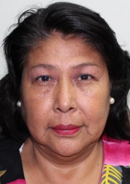 MARIA DEL CARMEN PALOMINO HUAROTO