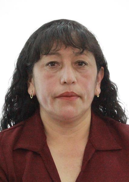 SANDRA ANGELICA PALOMINO VENERO