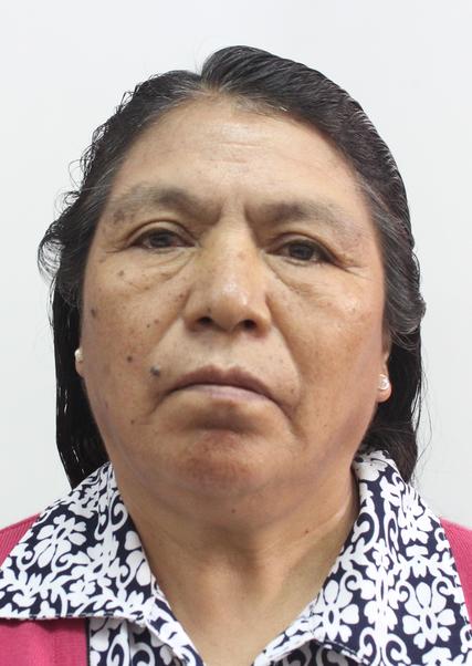 PAULA REQUELME PAUCAR DE CAPCHA