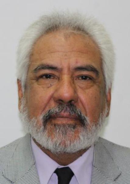 IVAN ALBERTO SEQUEIROS VARGAS