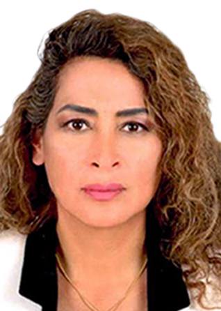 NILDA VILLAVICENCIO FLORES