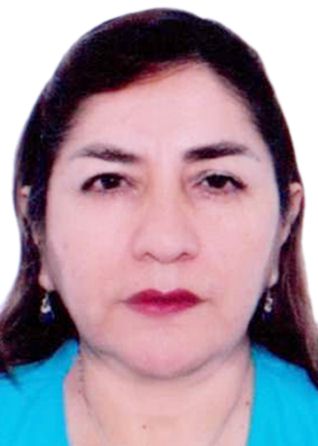 MERY BENIGNA BRAVO PEÑA