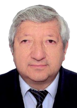 MARIANO GUZMAN CACERES MENDOZA