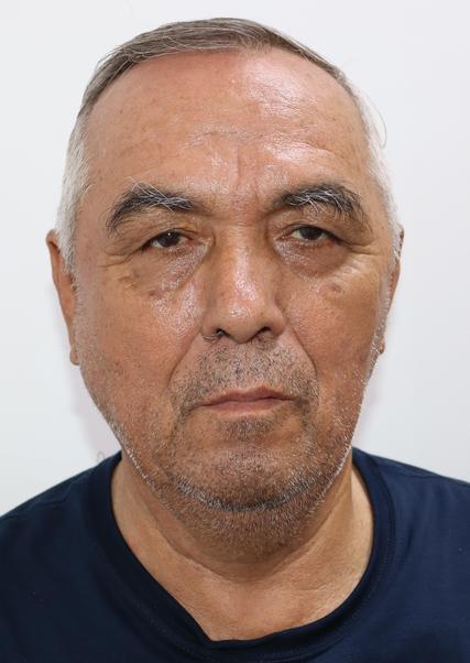 MARIANO IBERICO VELA